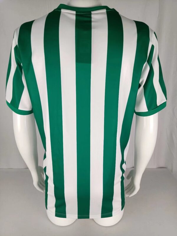 REAL BETIS 1976/77 - Imagen 2